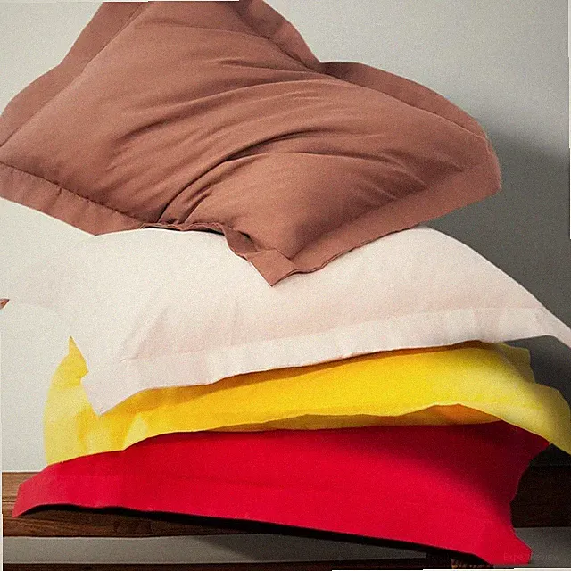 2 Pack Microfiber Pillow Shams 20x26" Super Soft, Wrinkle & Fade Resistant