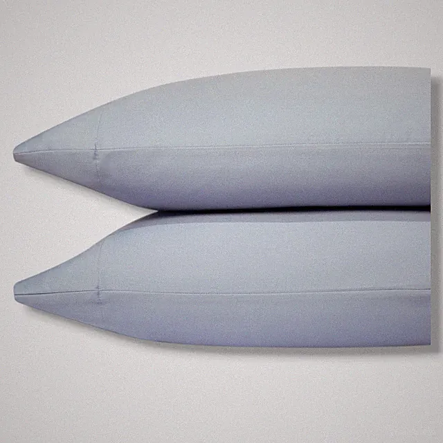 Sky Blue 500TC Wrinkle Resistant Full/Queen 2-Piece Sateen Pillowcase, Standard